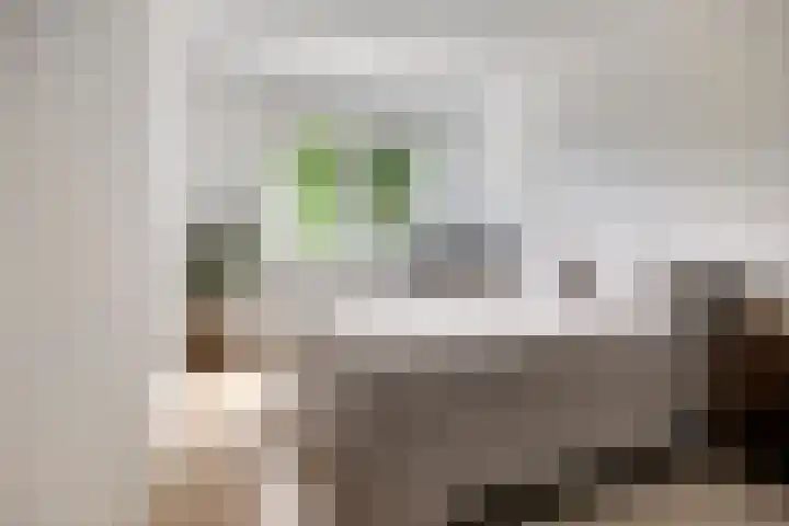 De Blauwe Zegge 31 Dedemsvaart thumbnail 11