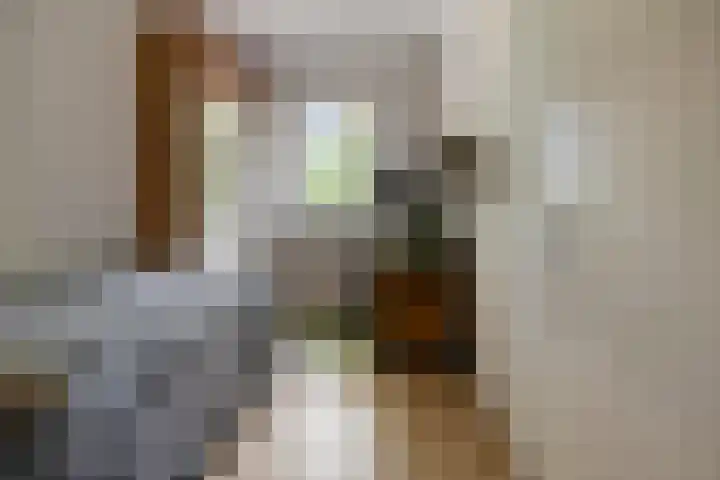 De Blauwe Zegge 31 Dedemsvaart thumbnail 14