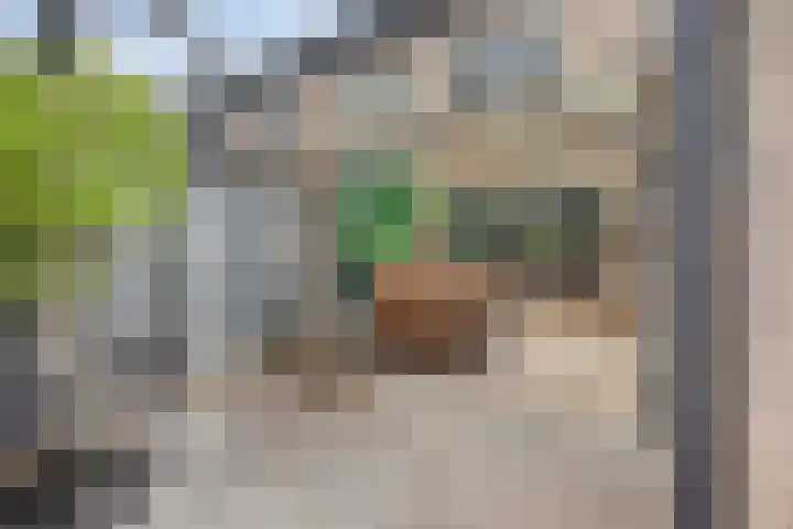 De Blauwe Zegge 31 Dedemsvaart thumbnail 19