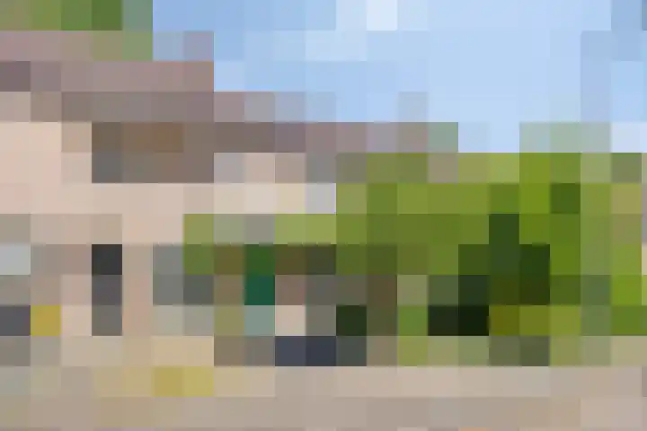 De Blauwe Zegge 31 Dedemsvaart thumbnail 23