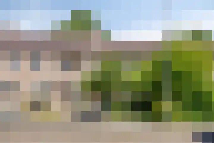 De Blauwe Zegge 31 Dedemsvaart thumbnail 24