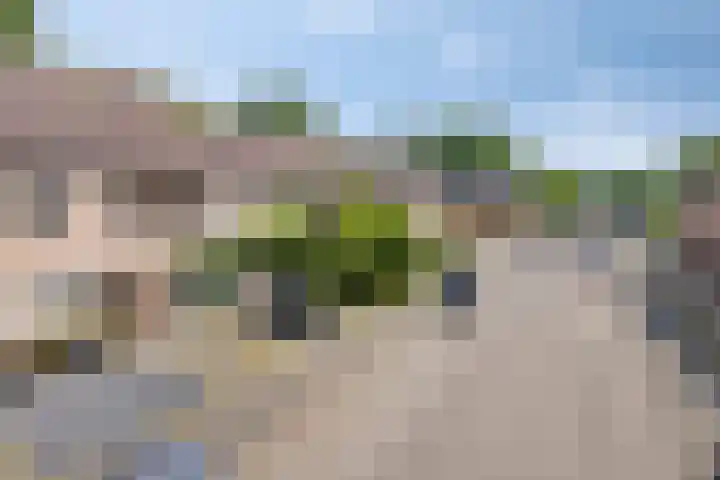 De Blauwe Zegge 31 Dedemsvaart thumbnail 25