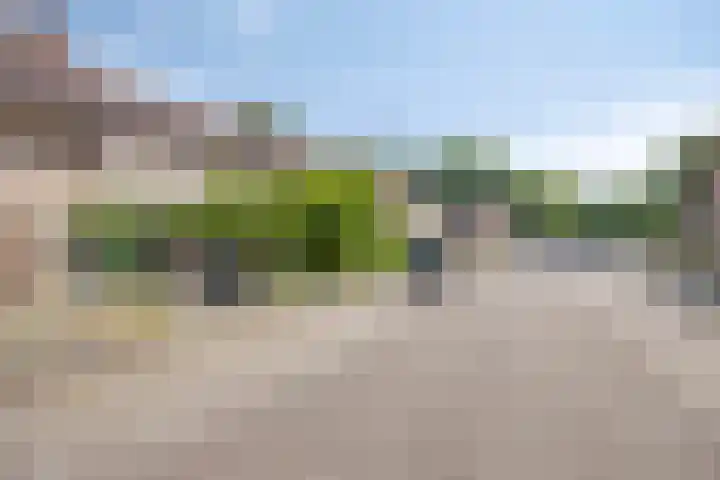 De Blauwe Zegge 31 Dedemsvaart thumbnail 26
