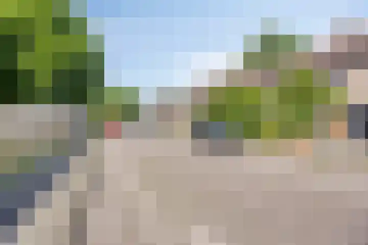 De Blauwe Zegge 31 Dedemsvaart thumbnail 27