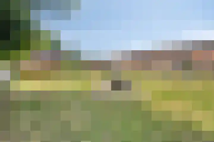 De Blauwe Zegge 31 Dedemsvaart thumbnail 28