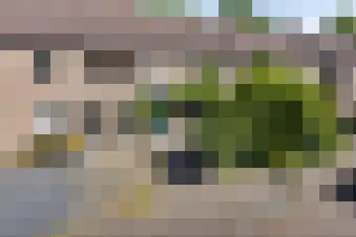 De Blauwe Zegge 31 Dedemsvaart thumbnail 33