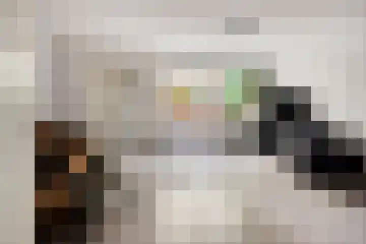 De Blauwe Zegge 31 Dedemsvaart thumbnail 4