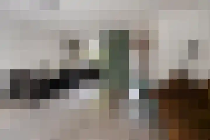 De Blauwe Zegge 31 Dedemsvaart thumbnail 5