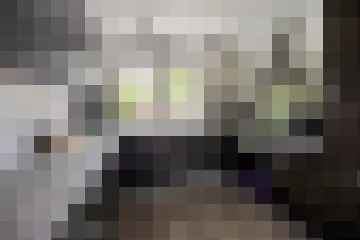 De Blauwe Zegge 31 Dedemsvaart thumbnail 6