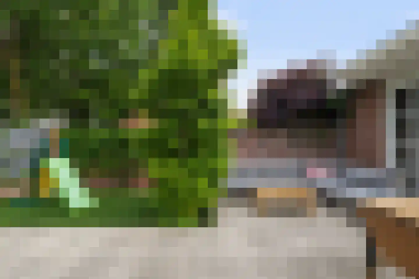 De Blauwverver 6 Boxtel thumbnail 54