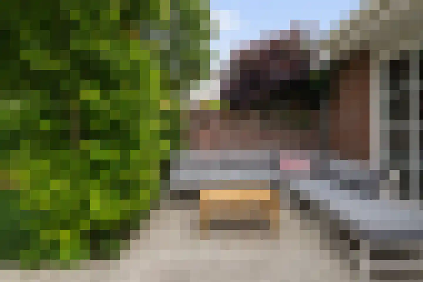 De Blauwverver 6 Boxtel thumbnail 55