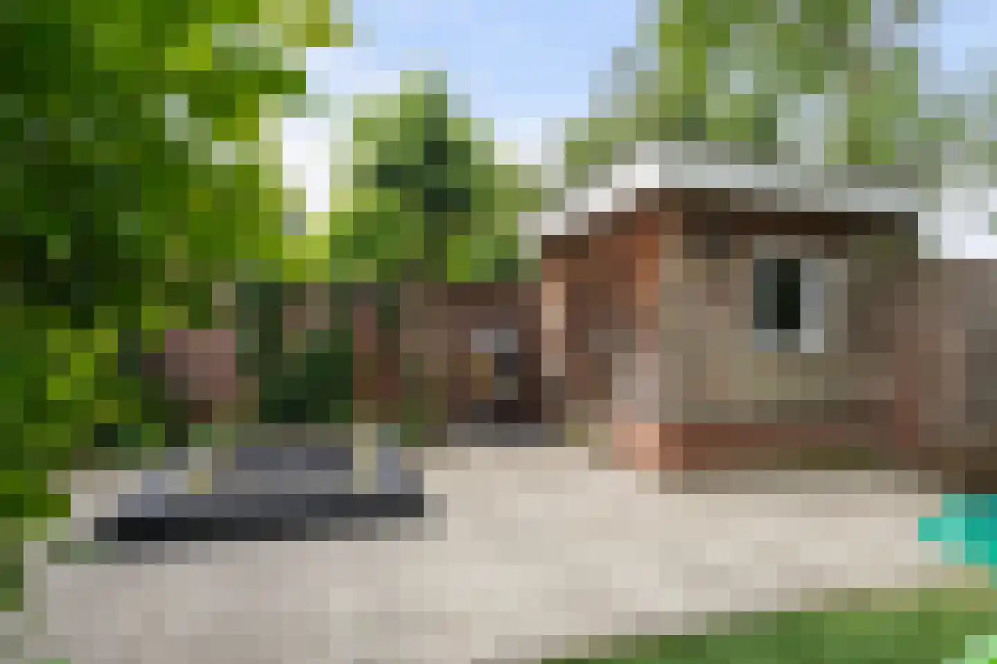 De Blauwverver 6 Boxtel thumbnail 57