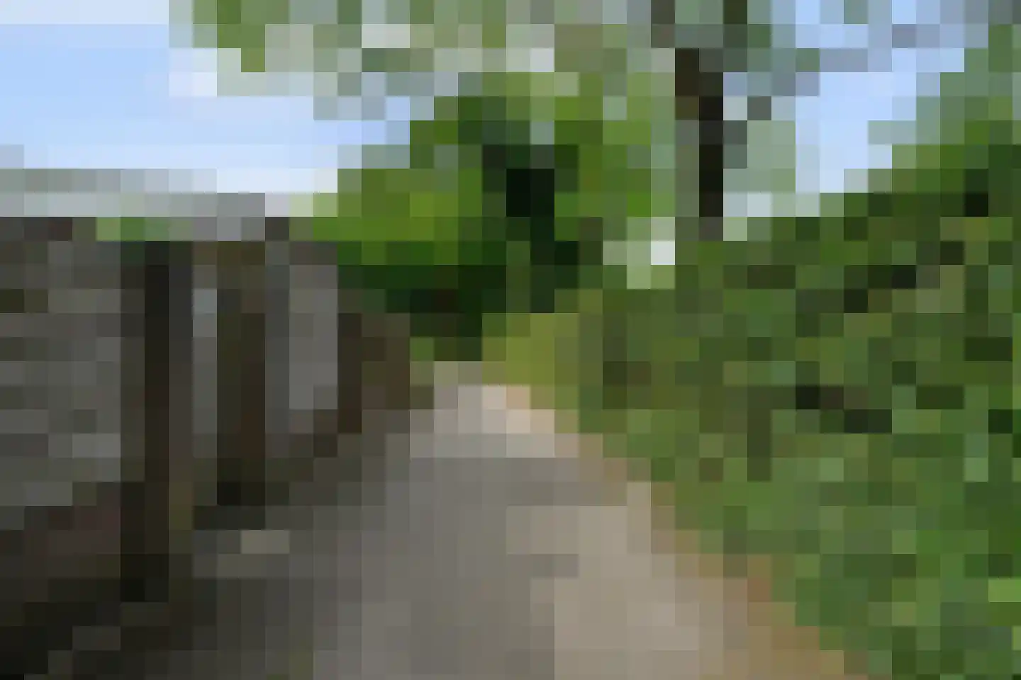 De Blauwverver 6 Boxtel thumbnail 62