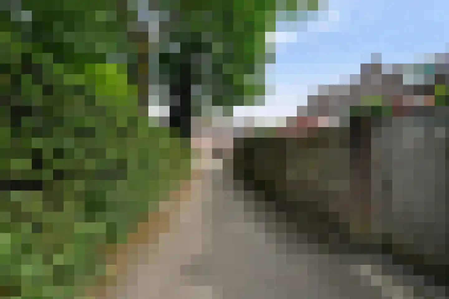 De Blauwverver 6 Boxtel thumbnail 63
