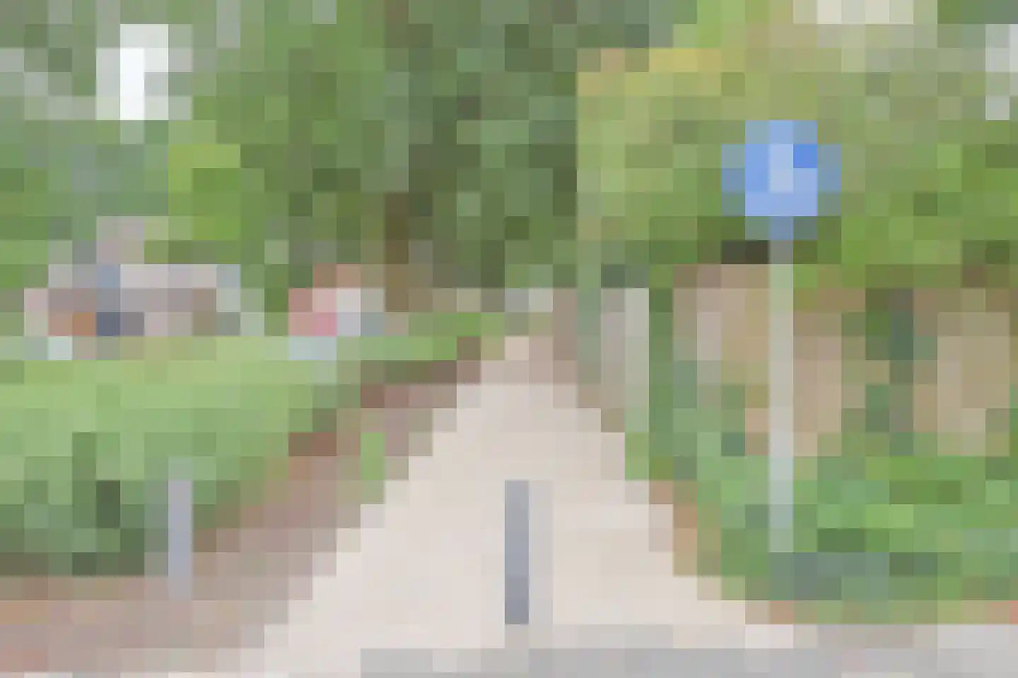 De Blauwverver 76 Boxtel thumbnail 44
