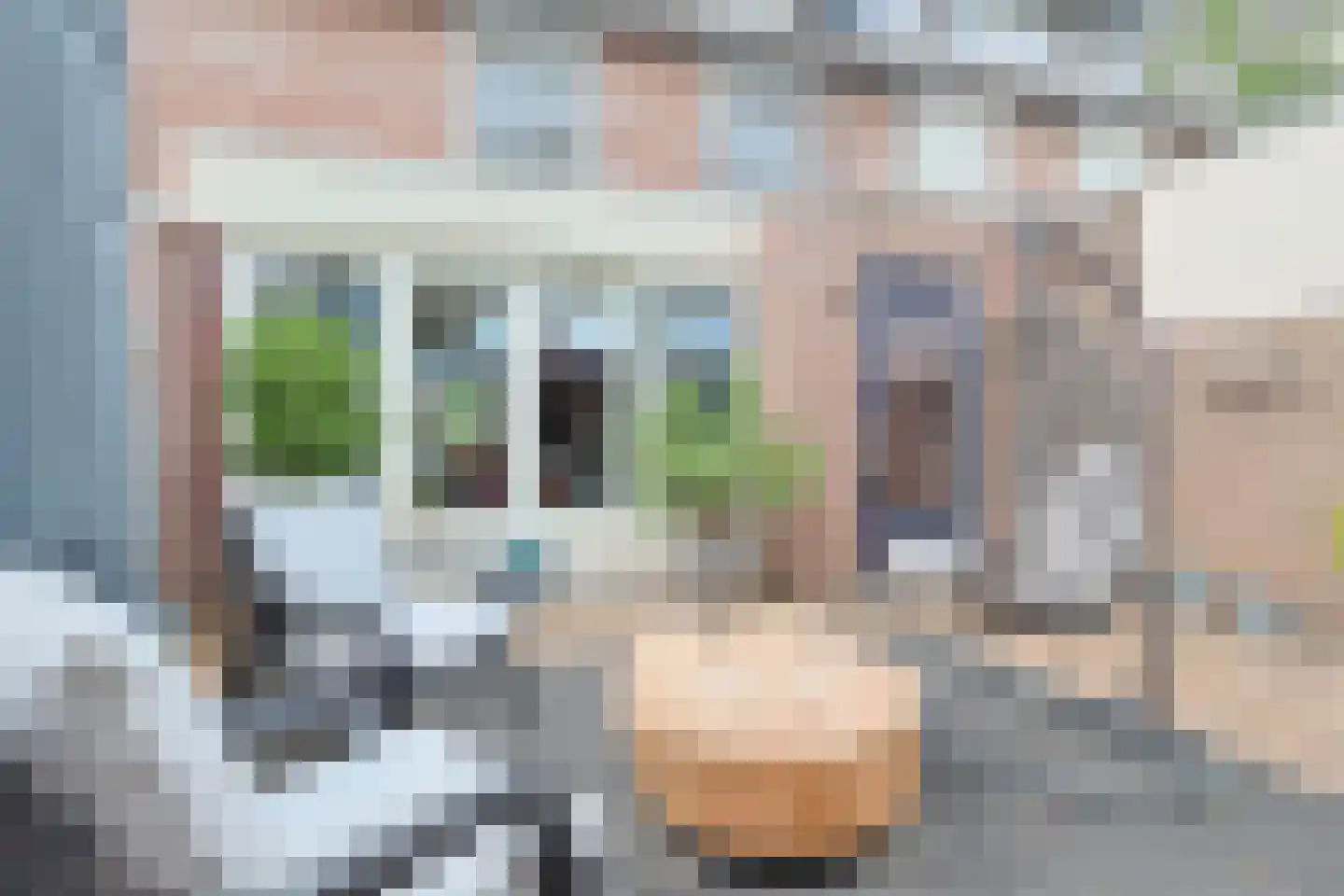 De Blauwverver 76 Boxtel thumbnail 47