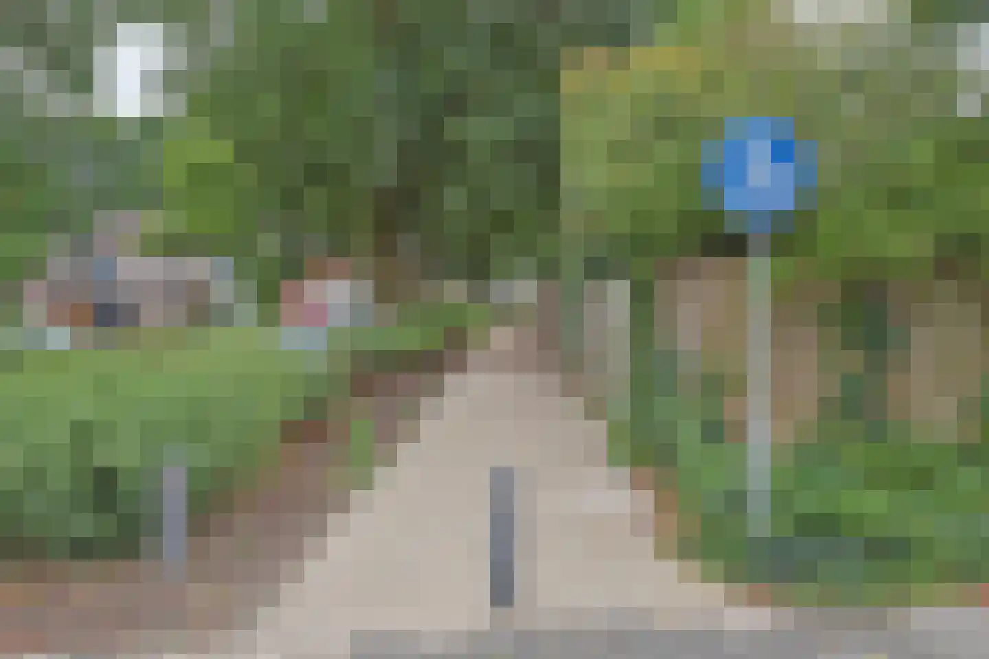 De Blauwverver 76 Boxtel thumbnail 52