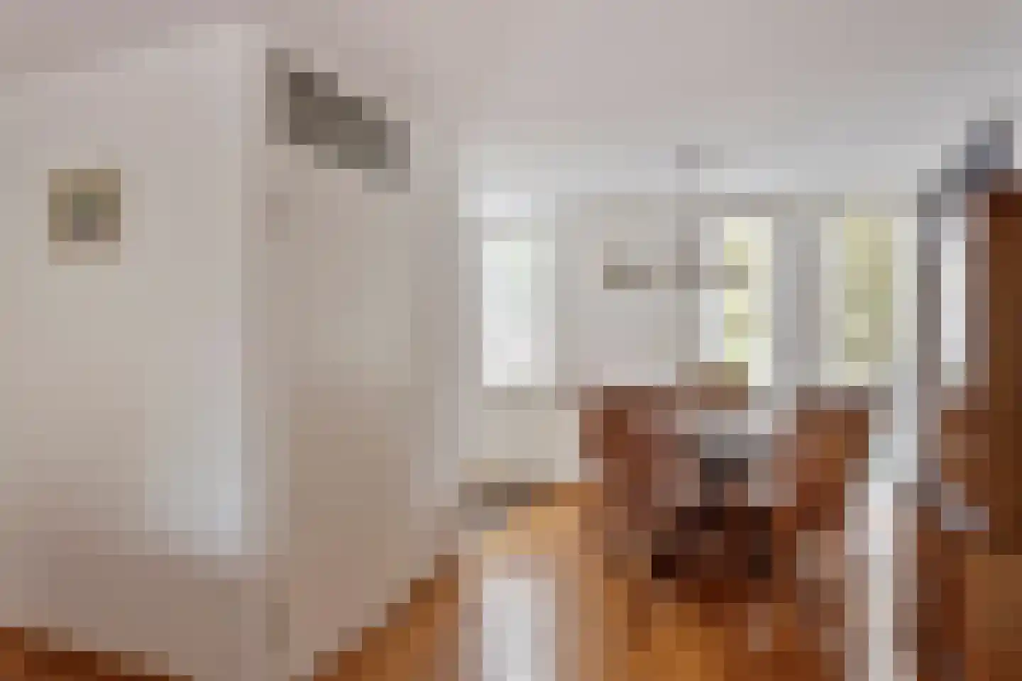 De Blauwververij 14 Goor thumbnail 12