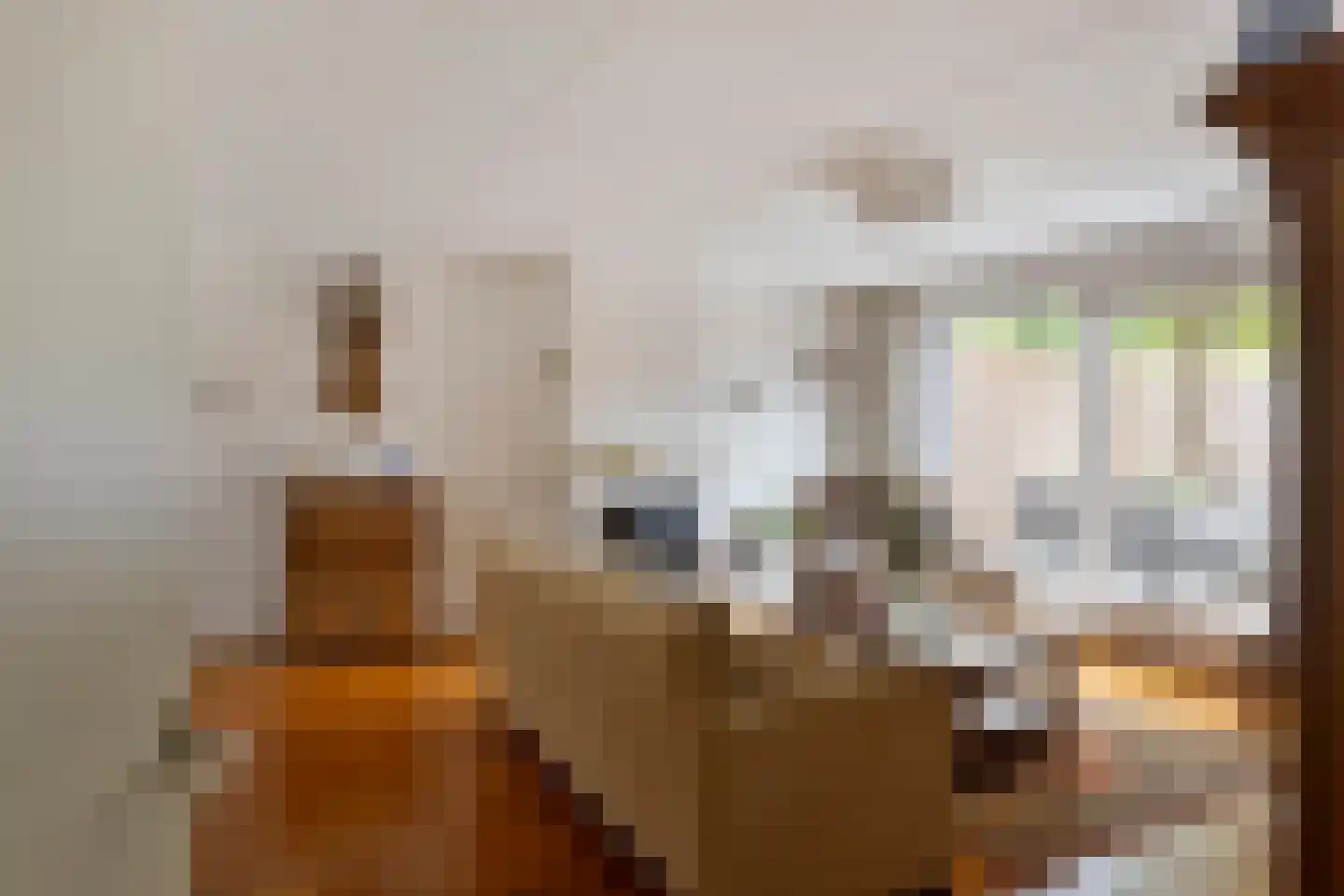 De Blauwververij 14 Goor thumbnail 16