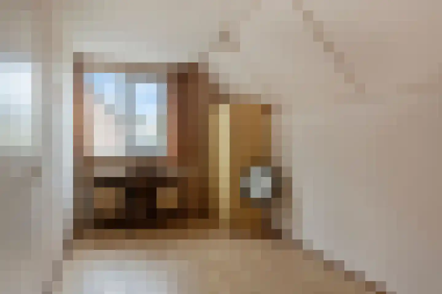 De Blauwververij 14 Goor thumbnail 26