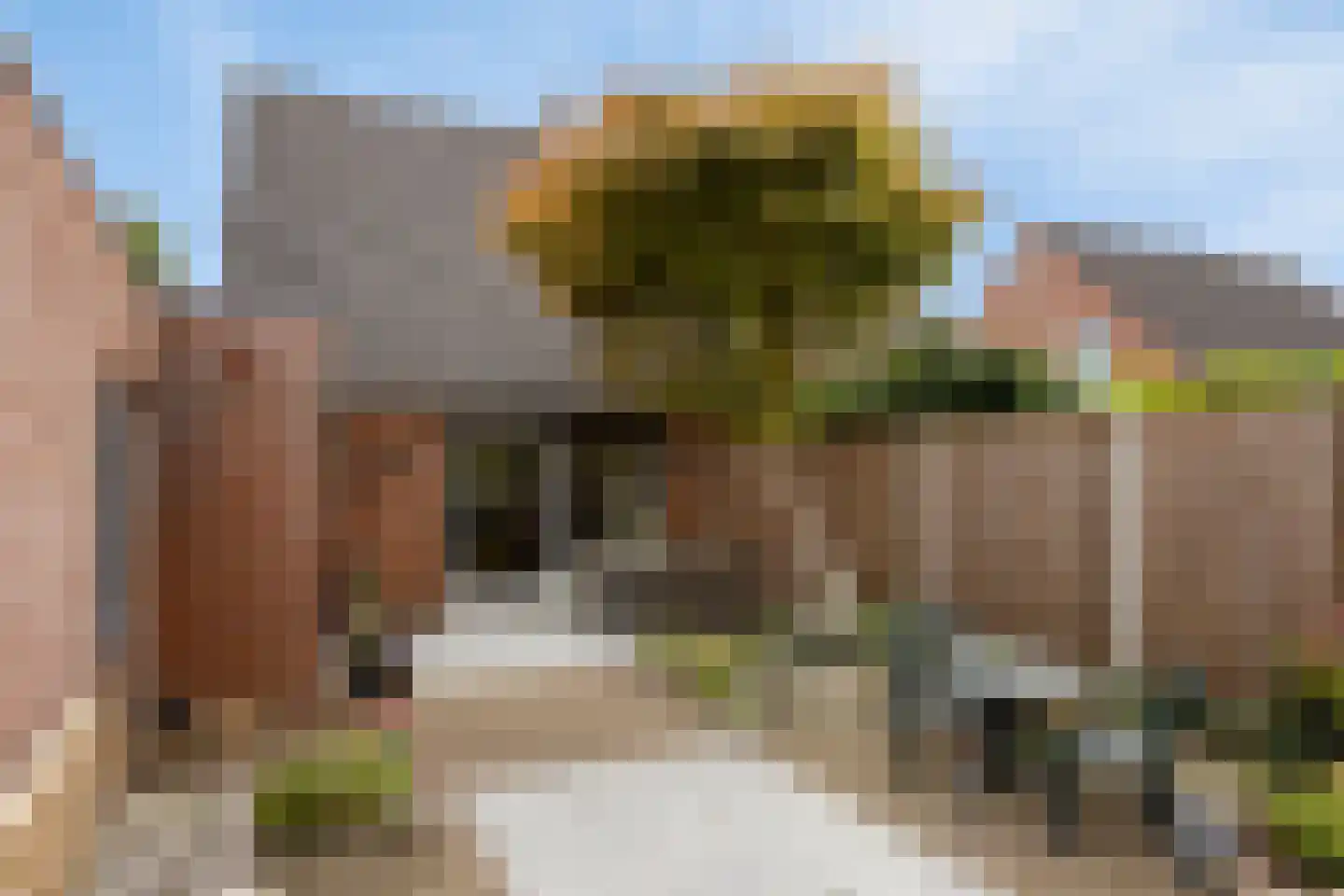 De Blauwververij 14 Goor thumbnail 31