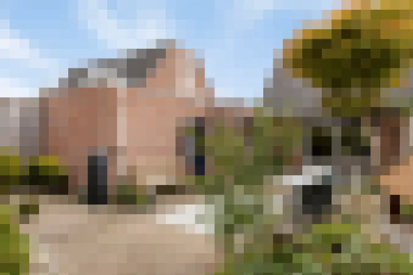 De Blauwververij 14 Goor thumbnail 32