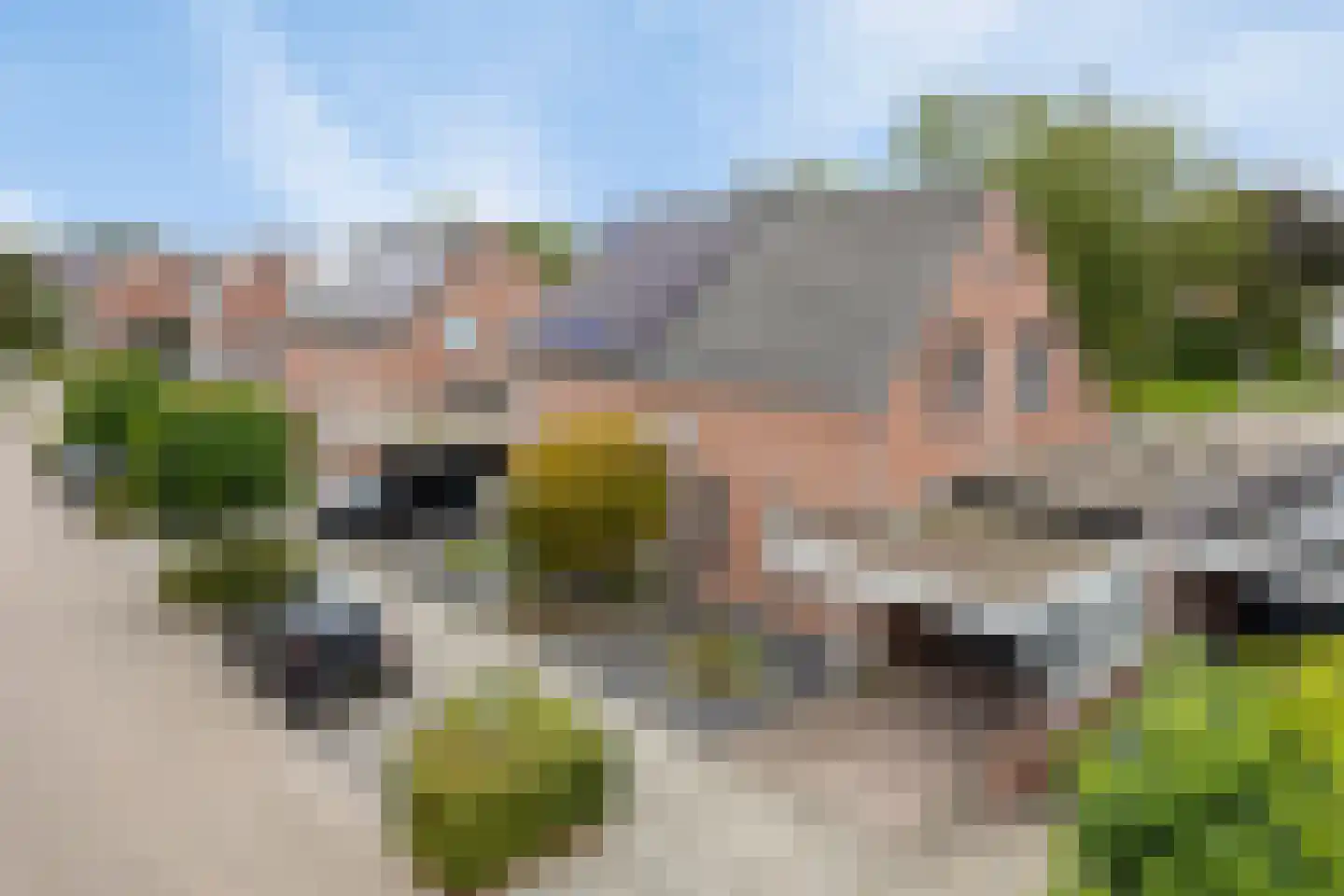 De Blauwververij 14 Goor thumbnail 33