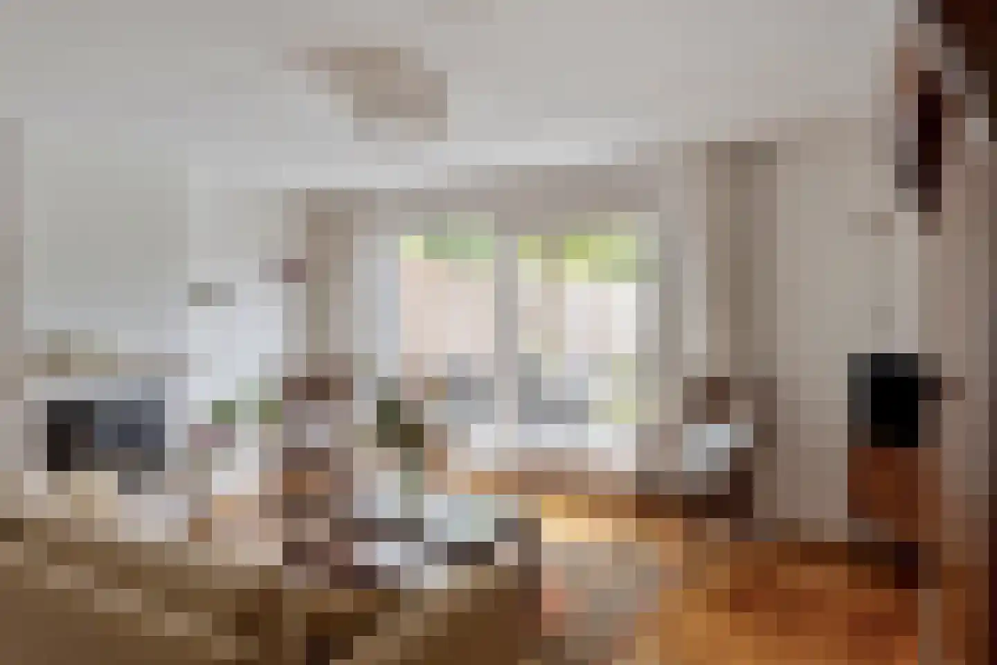 De Blauwververij 14 Goor thumbnail 6