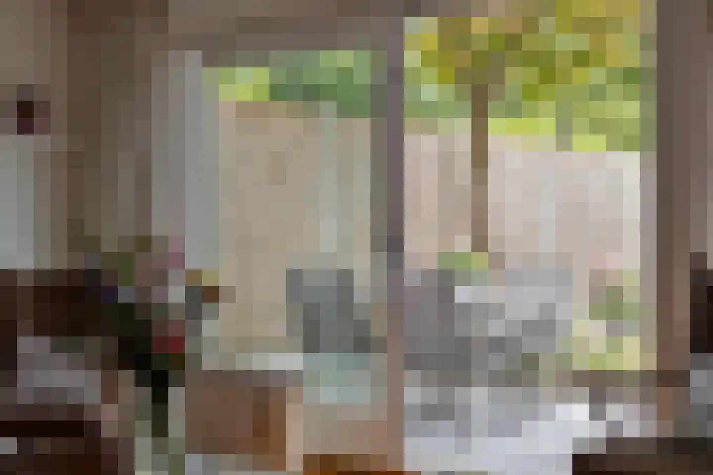 De Blauwververij 14 Goor thumbnail 7