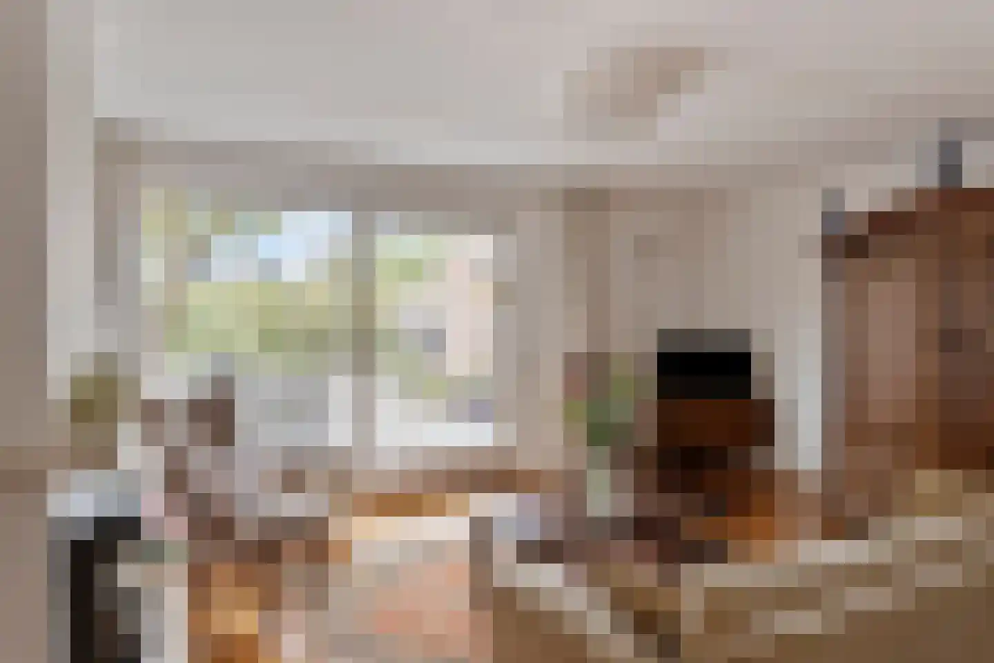 De Blauwververij 14 Goor thumbnail 8