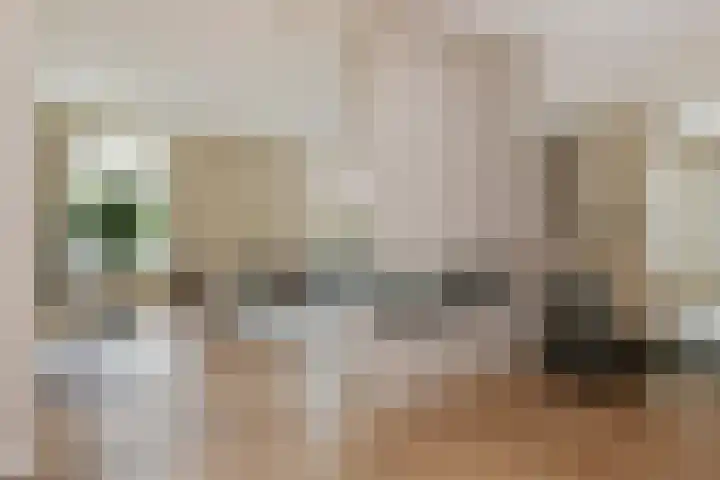De Bleeck 11 Waalre thumbnail 11