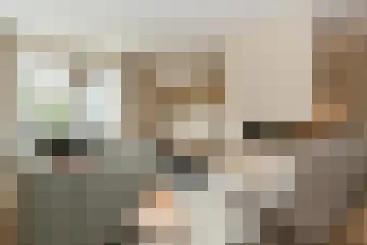 De Bleeck 11 Waalre thumbnail 12