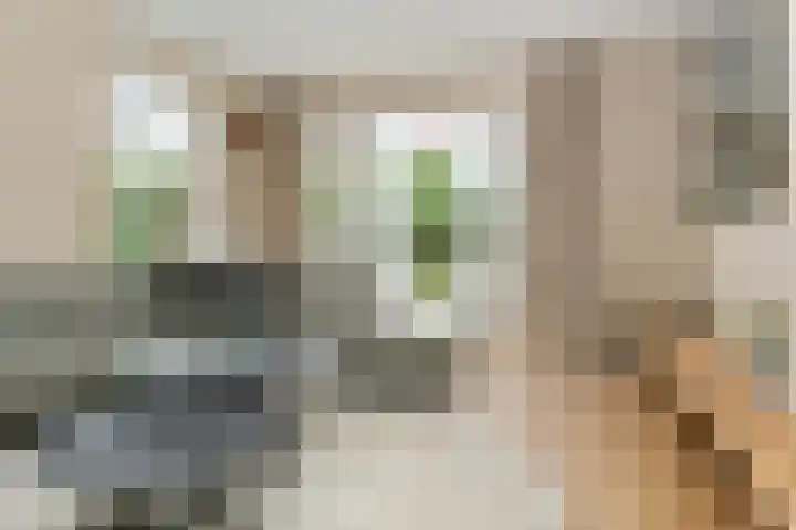 De Bleeck 11 Waalre thumbnail 13