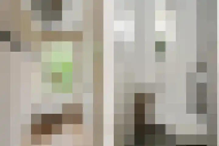 De Bleeck 11 Waalre thumbnail 20