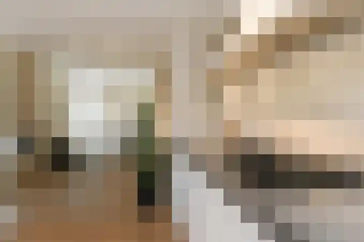 De Bleeck 11 Waalre thumbnail 9