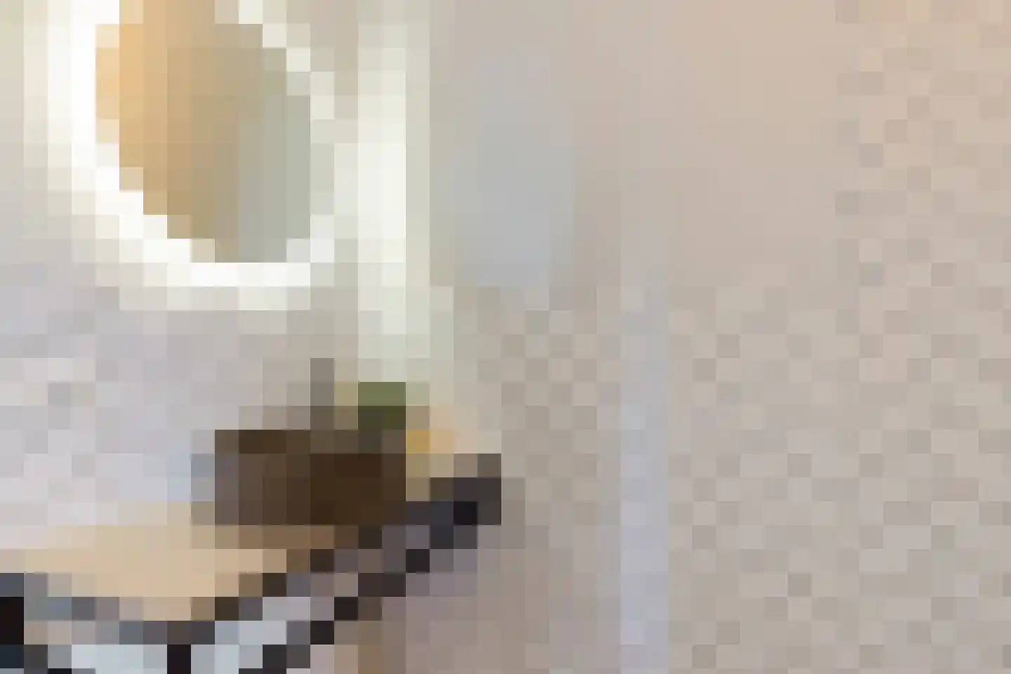 De Bleeck 6 Stavoren thumbnail 27