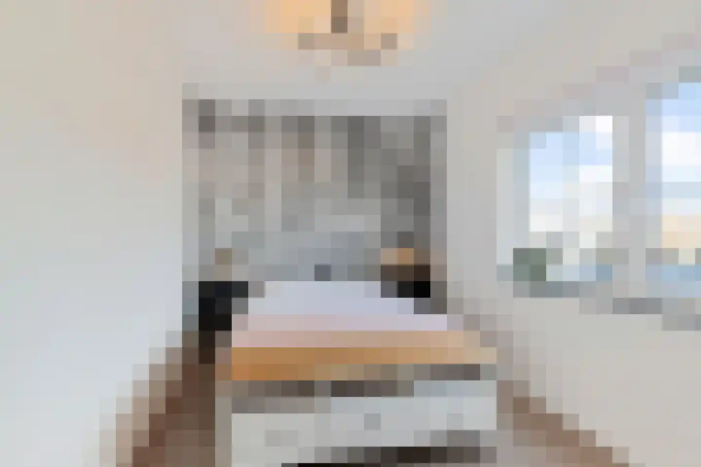 De Bleeck 6 Stavoren thumbnail 29