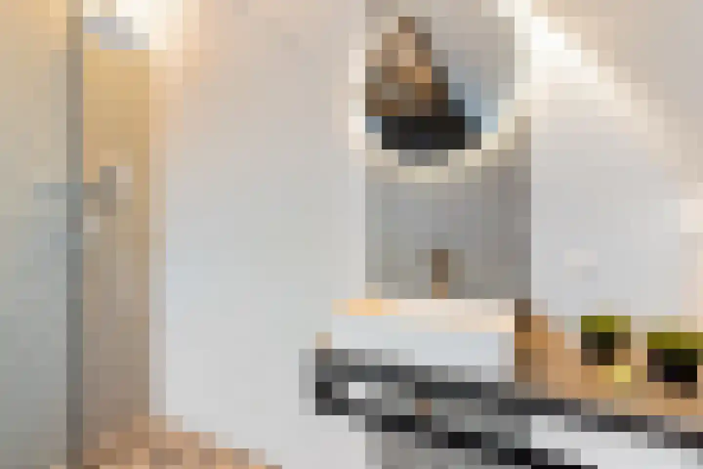 De Bleeck 6 Stavoren thumbnail 38