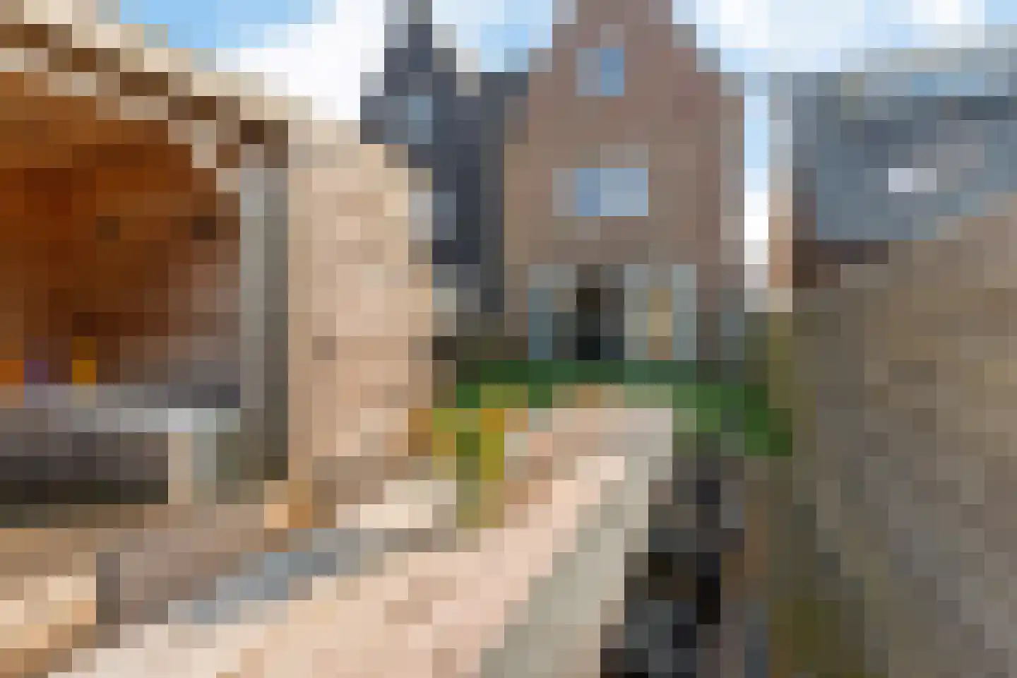 De Bleeck 6 Stavoren thumbnail 40