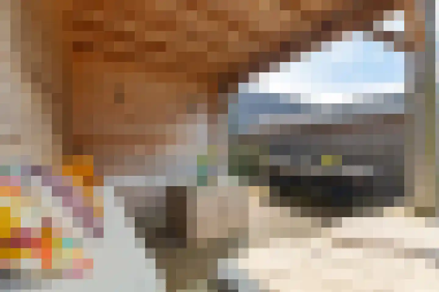 De Bleeck 6 Stavoren thumbnail 42