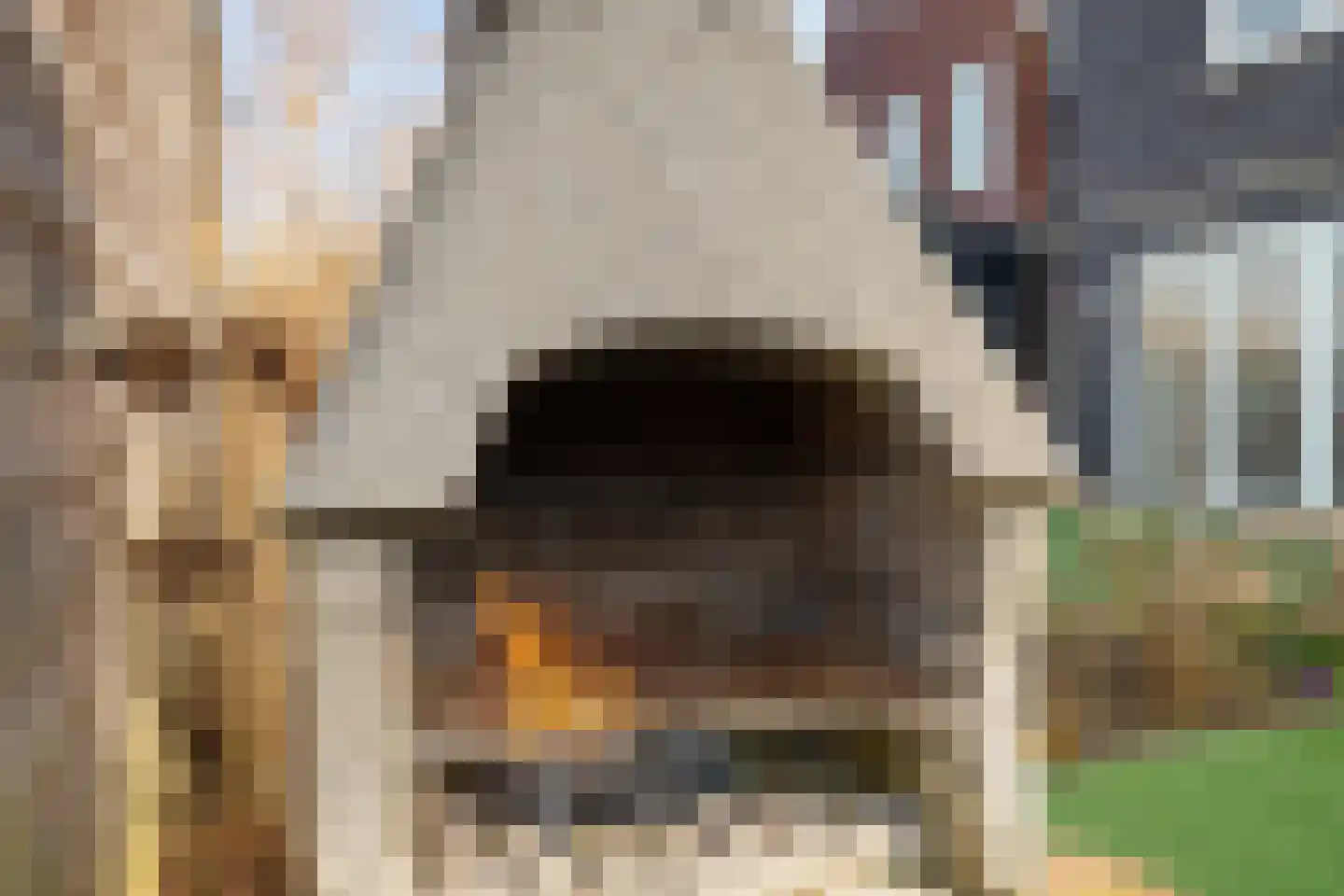 De Bleeck 6 Stavoren thumbnail 45