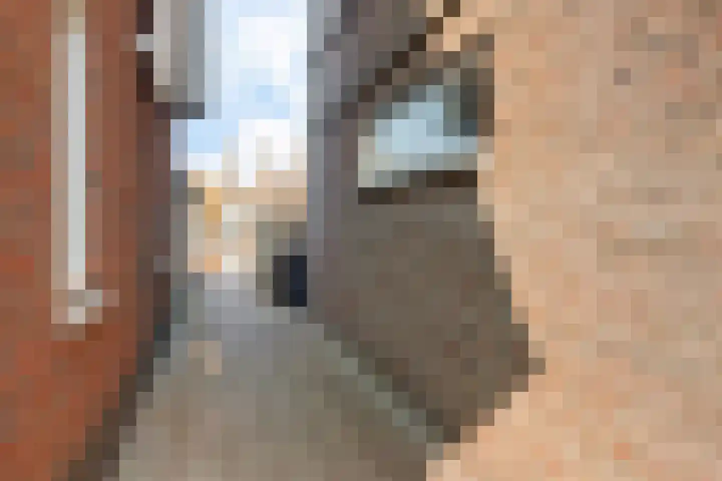 De Bleeck 6 Stavoren thumbnail 49