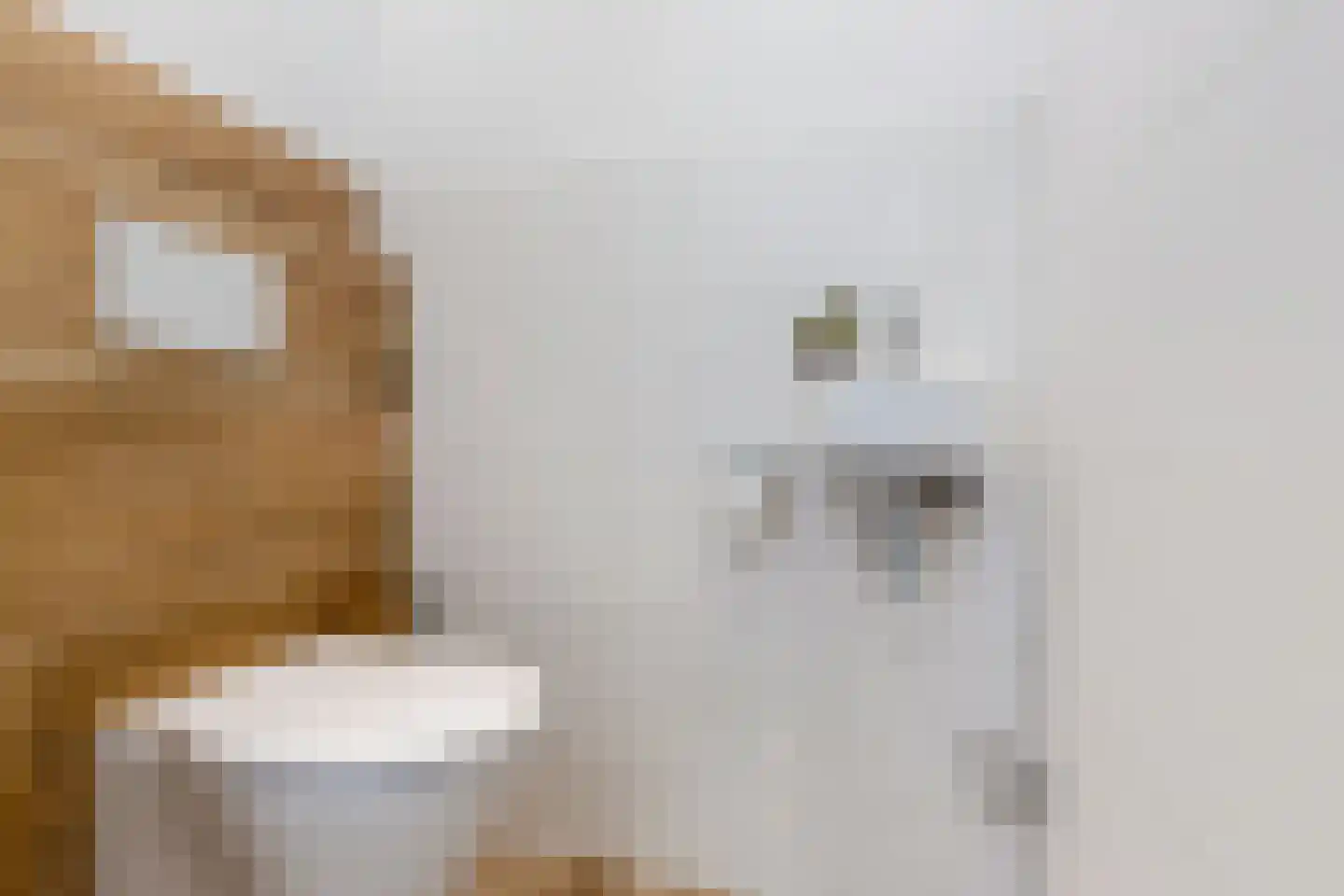 De Bleeck 6 Stavoren thumbnail 7
