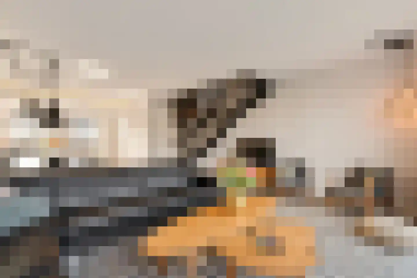 De Bleeck 7 Stavoren thumbnail 15