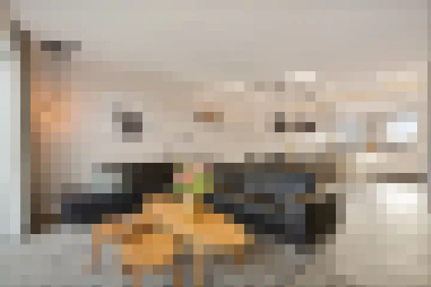 De Bleeck 7 Stavoren thumbnail 16