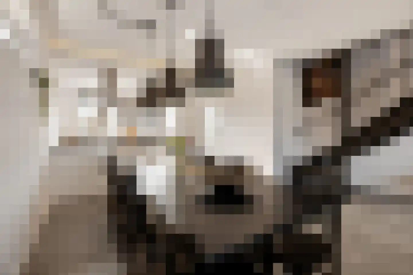 De Bleeck 7 Stavoren thumbnail 17