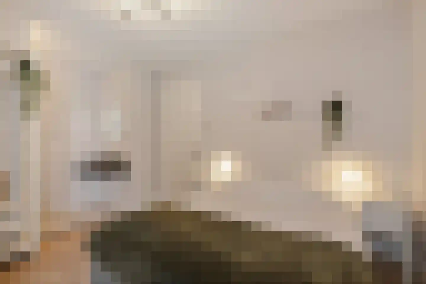 De Bleeck 7 Stavoren thumbnail 29