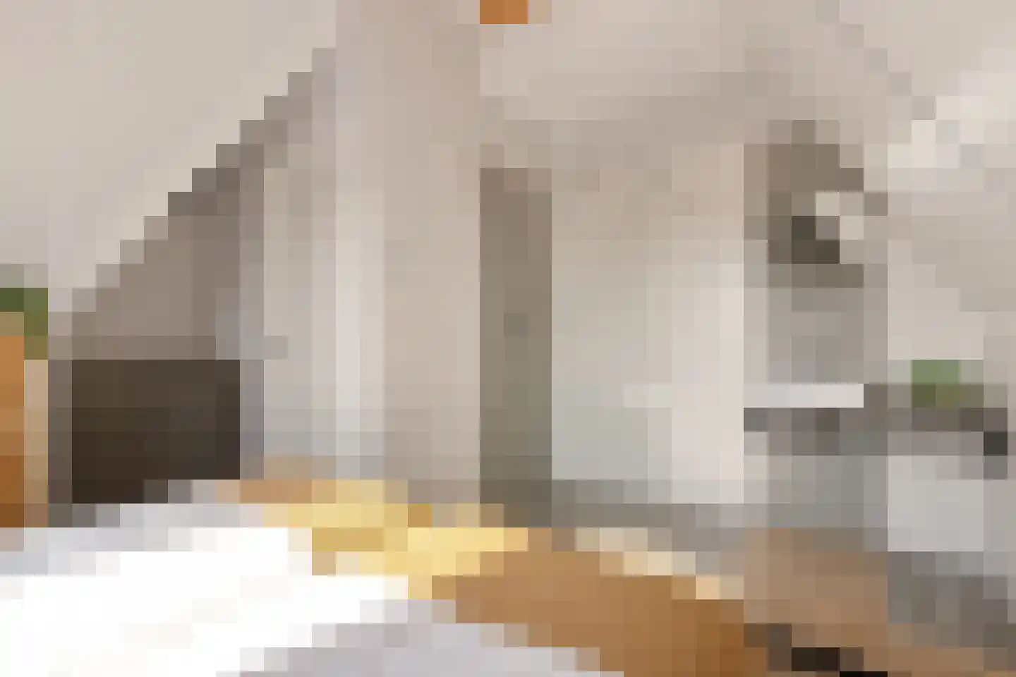 De Bleeck 7 Stavoren thumbnail 33