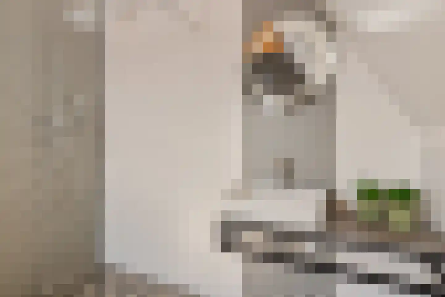 De Bleeck 7 Stavoren thumbnail 34