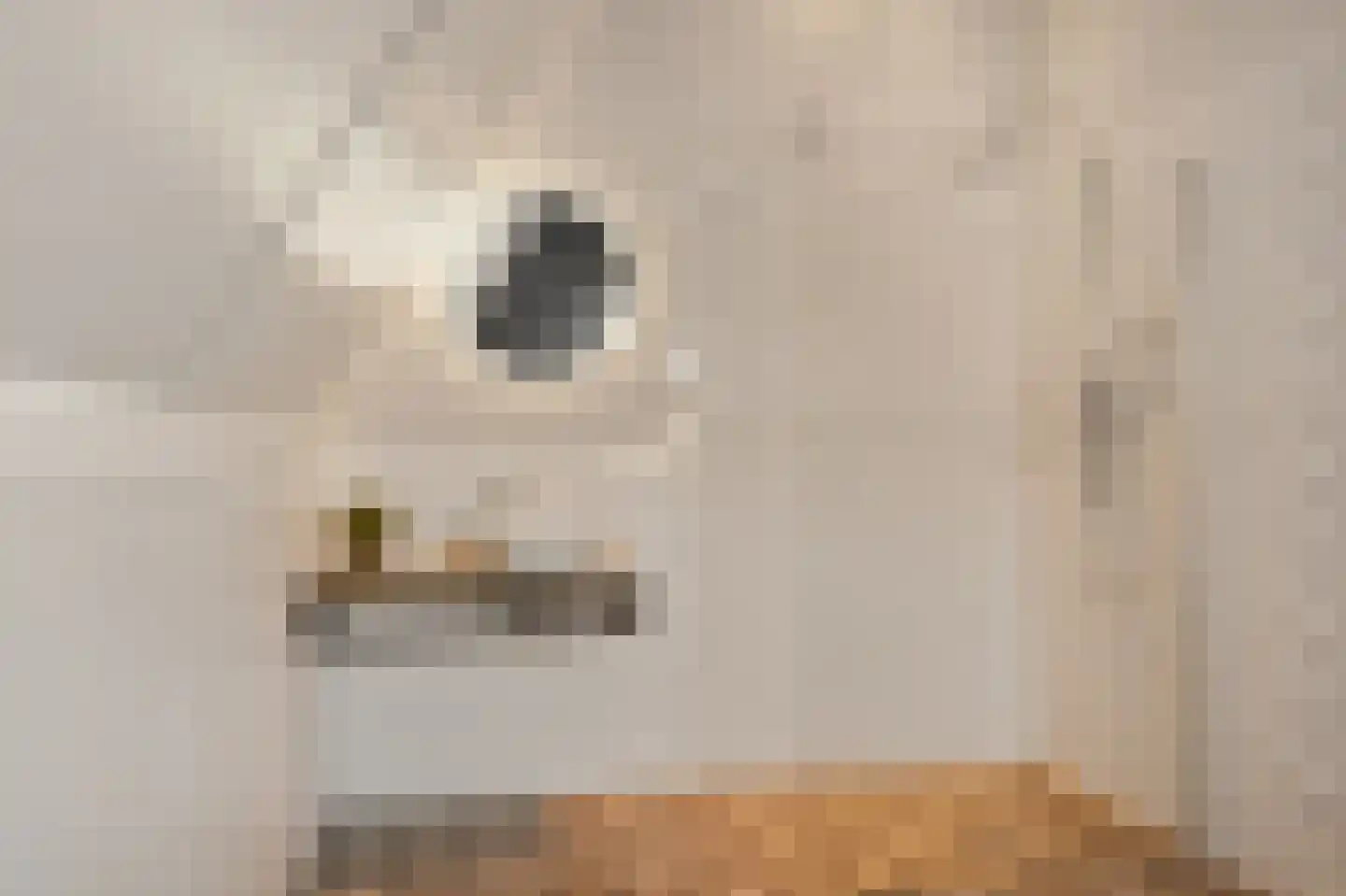 De Bleeck 7 Stavoren thumbnail 37